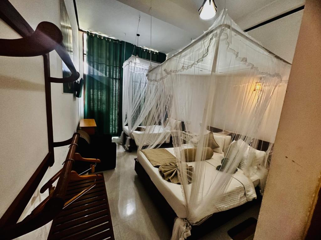 Shining Green View - 2