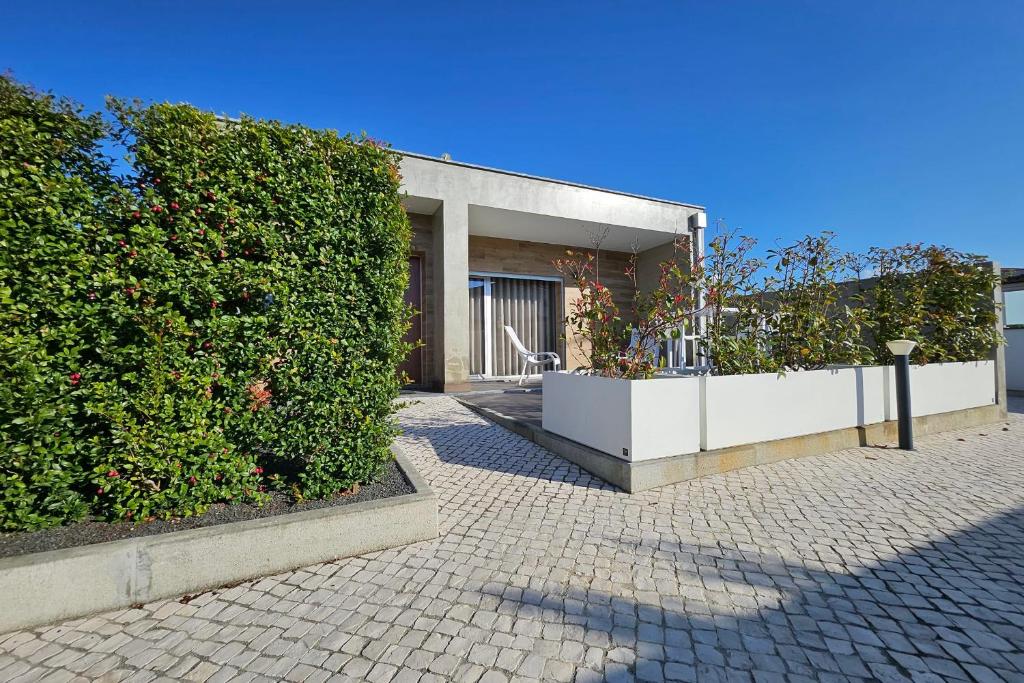 a building with two large hedges in front of it at Marinha Grande Apartamentos Rainbow N9 in Marinha Grande