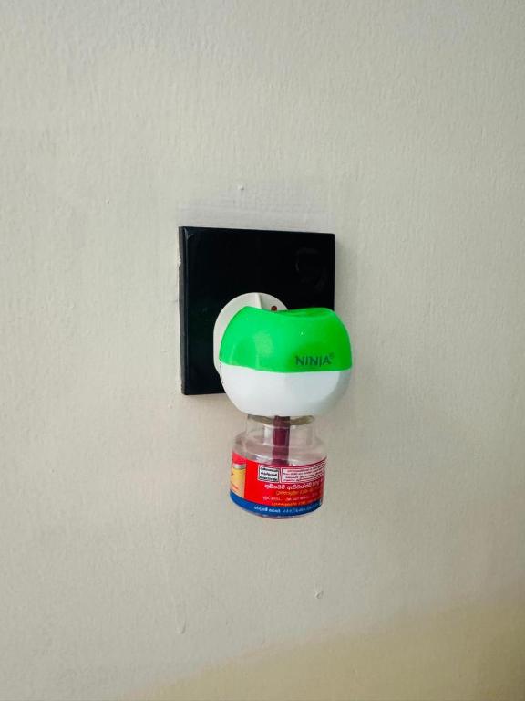 Royal Rock Sigiriya - 6