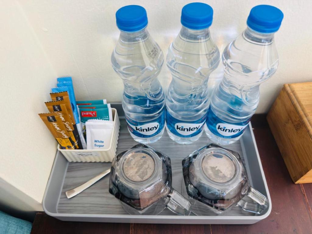 Royal Rock Sigiriya - 15