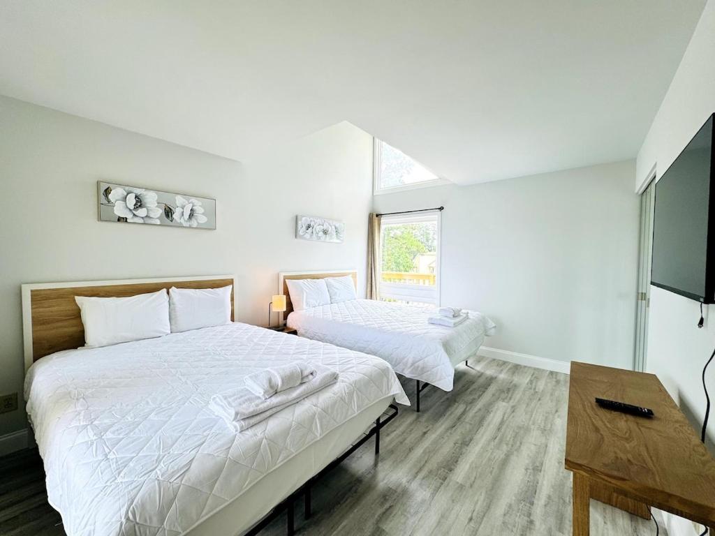 a bedroom with two beds and a flat screen tv at Bay Tree beautiful 1BR apartment in Stephens Crossroads