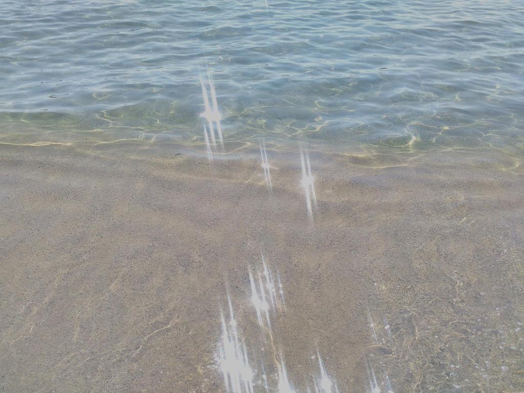 un cuerpo de agua con rocas en el agua en Vila DVA 3, en Golden Sands