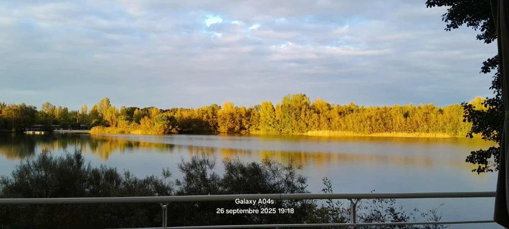 Blick auf einen See mit Bäumen im Hintergrund in der Unterkunft La Terrasse du Lac in Sainte-Gemme