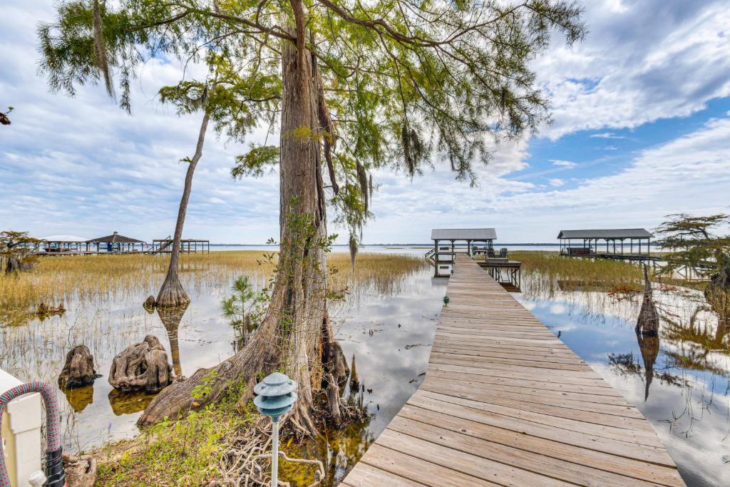 a wooden pathway through a swamp with trees and benches at Fish, Swim and Grill Lakefront Carolina Home! in Lake Waccamaw