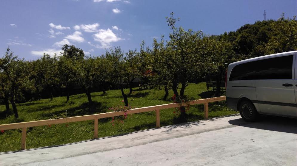 Zahrada ubytování Călăreții lui Țepes