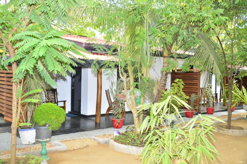 Zahrada ubytování Livinginn Polonnaruwa