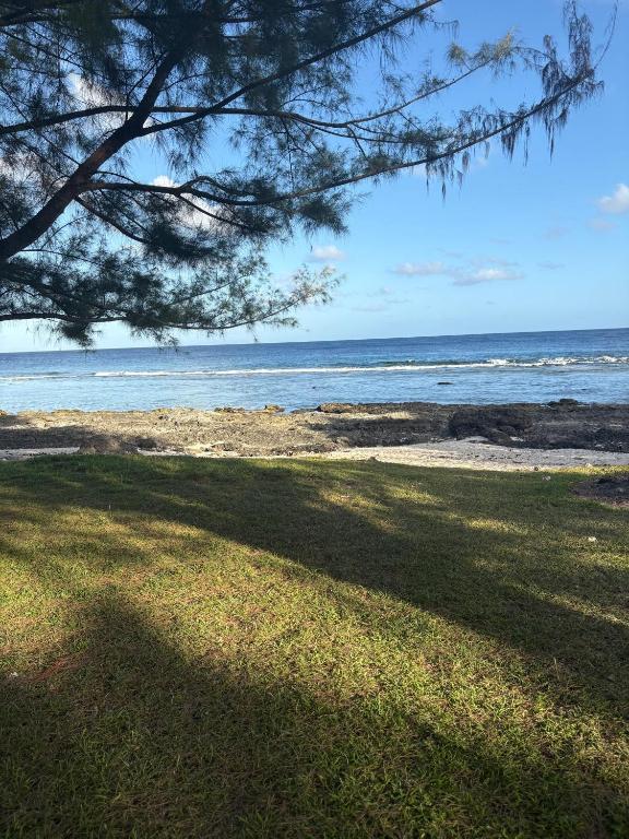 Faatiarau Bed - photo 3 - Huahine, Polynésie