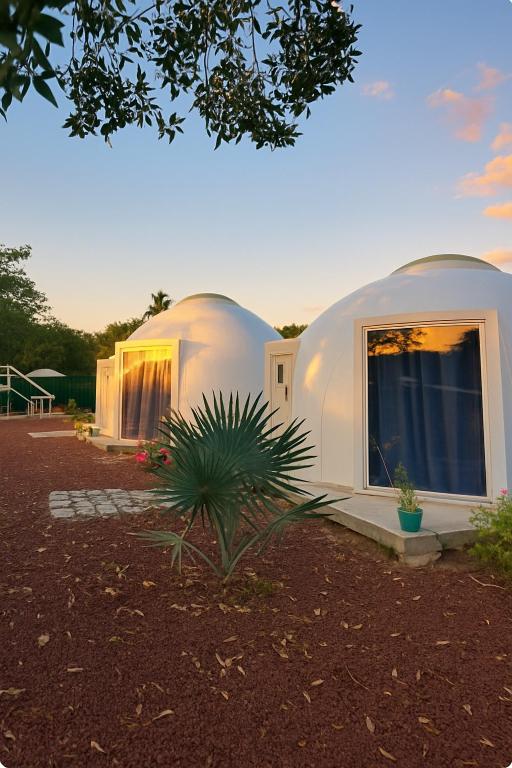 a couple of domes in a yard with a plant at Iglú Sparrow vista al cielo in Barra de Navidad