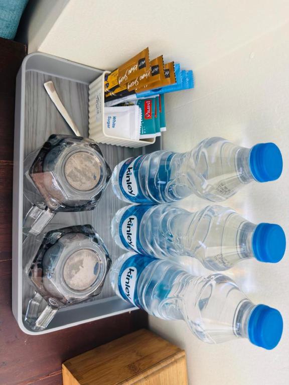 Royal Rock Sigiriya - 12