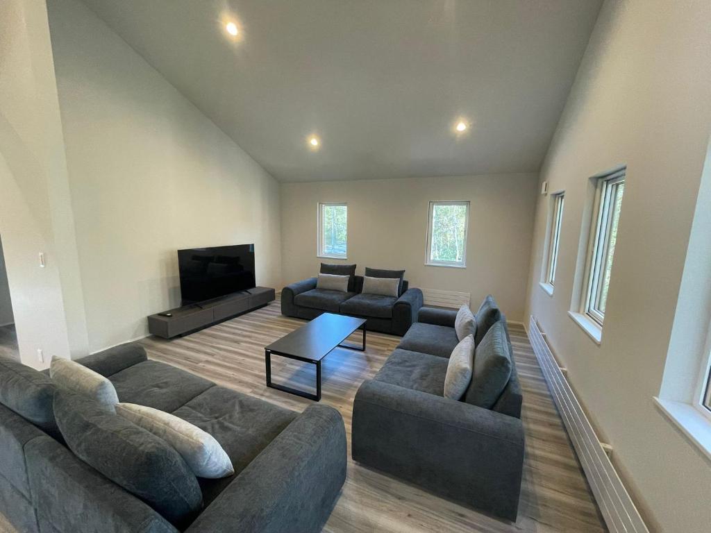 a living room with two couches and a flat screen tv at Wakaba Niseko 新築1棟貸切 in Rankoshi