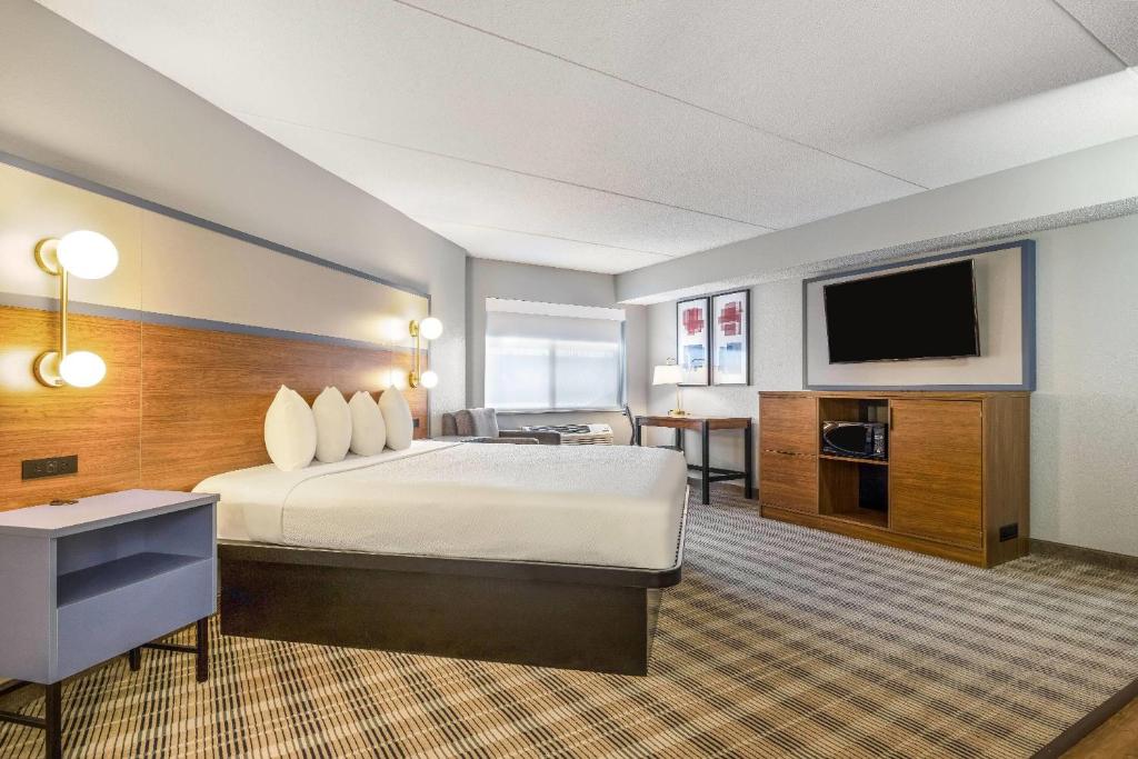 AmericInn by Wyndham Mounds View Minneapolis - Studiosuite Met 1 Kingsize Bed, Niet-roken