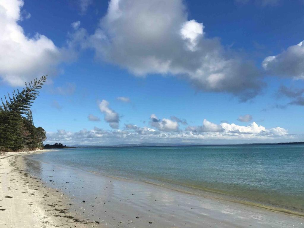 a beach with a palm tree and the ocean at Rangiputa Retreat in Karikari Peninsula