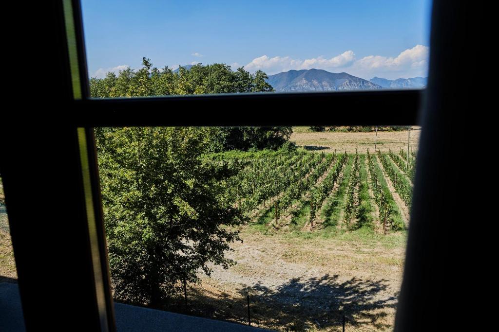 Le Quattro Terre - 2