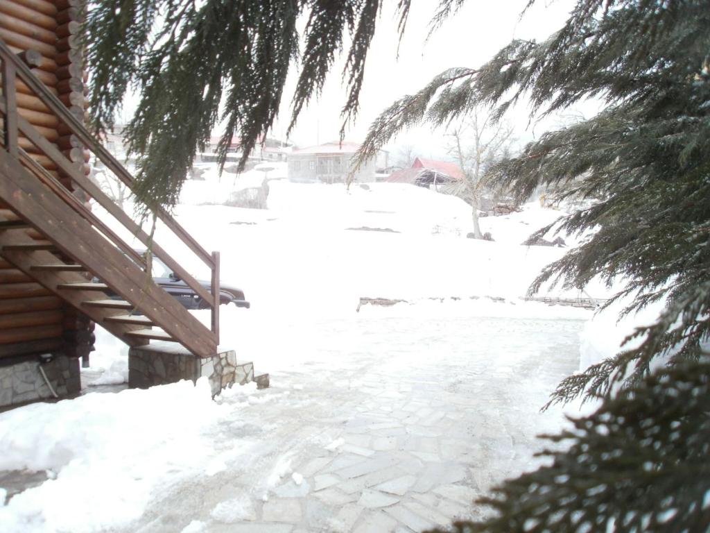 Stivakti Chalet v zimě