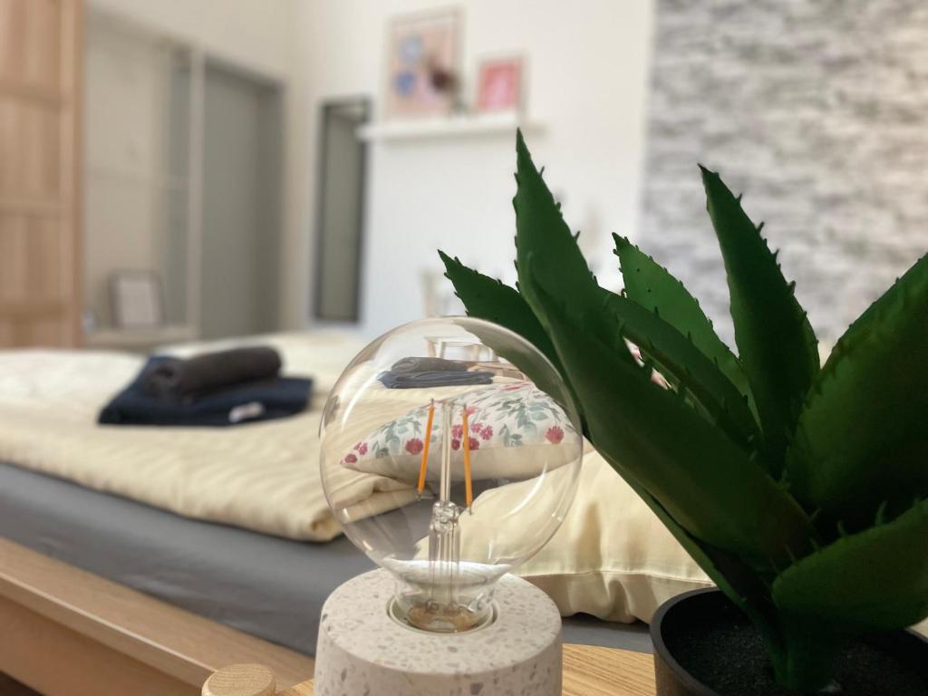 a glass bowl sitting on a table next to a potted plant at Atlas suites EAST in Košice