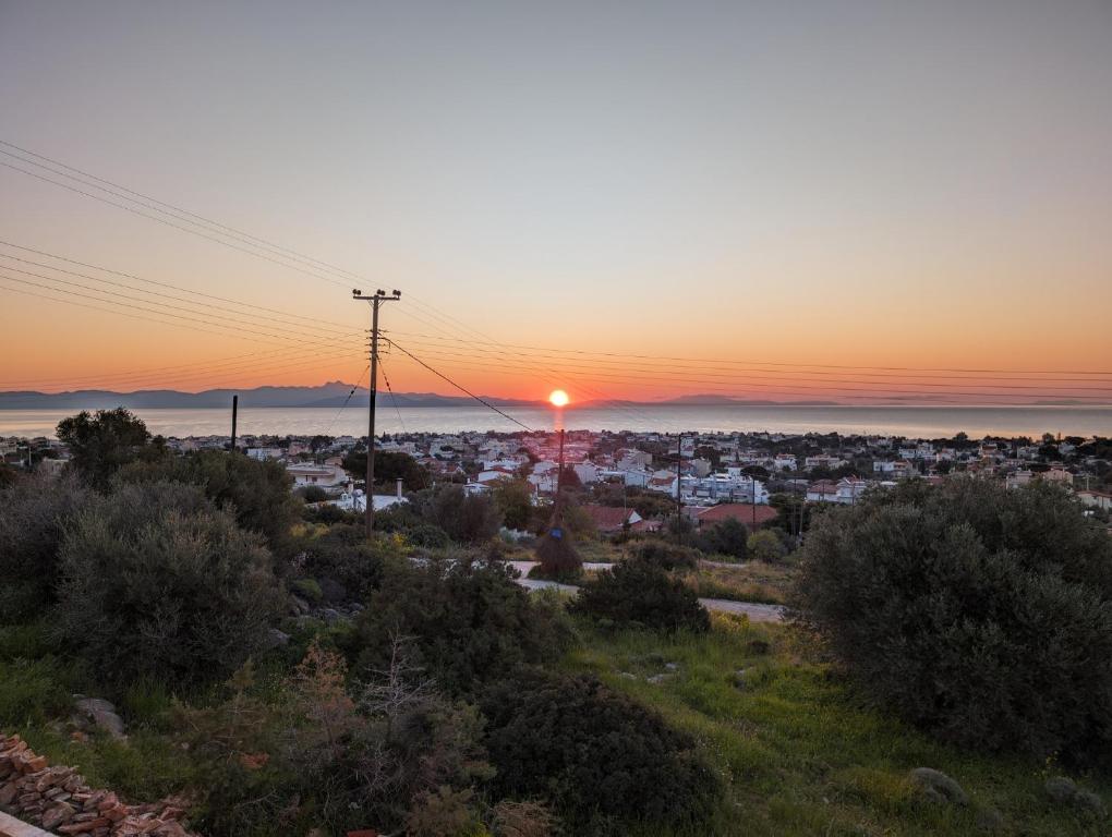 Φυσικό τοπίο κοντά σε αυτό το διαμέρισμα