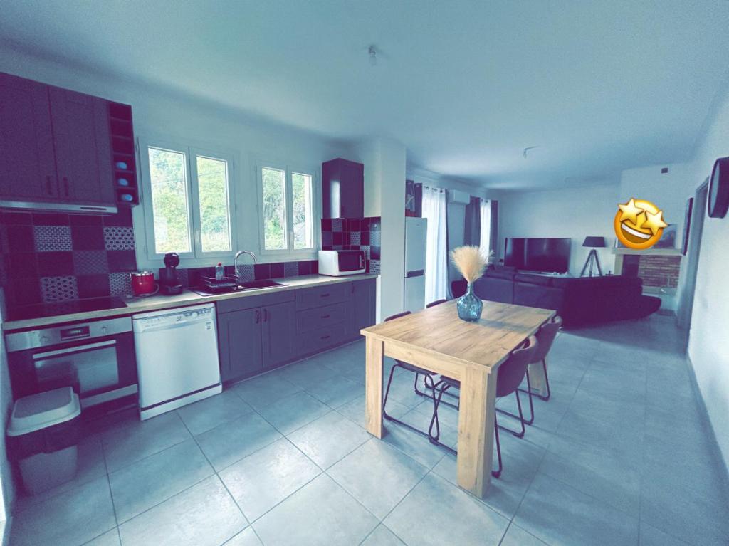 Kuchyň nebo kuchyňský kout v ubytování Grand Appartement vals les bains