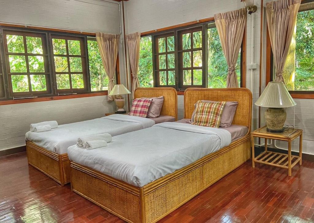 Ban Nam Tok Mae KlangPrivate Forest Cottage in Near Chiang Mai的带窗户的客房内的两张单人床