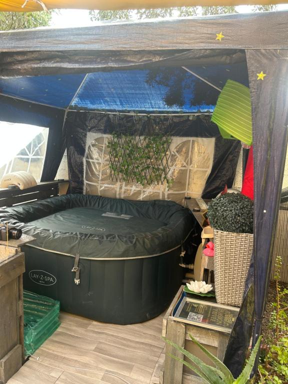 een binnenkant van een tent met een plant erin bij Évasion privée 66 in Perpignan