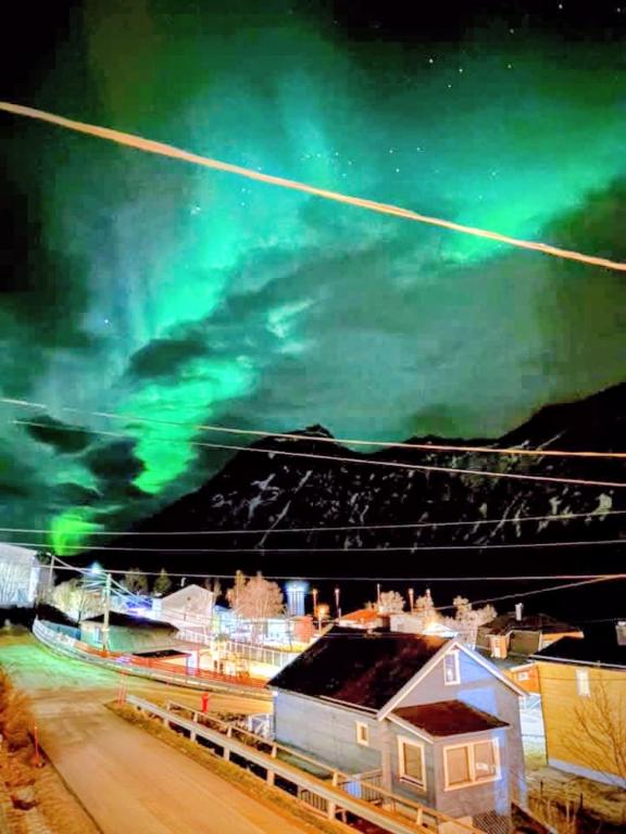 an image of the northern lights in the sky at Havblikk in Gryllefjord