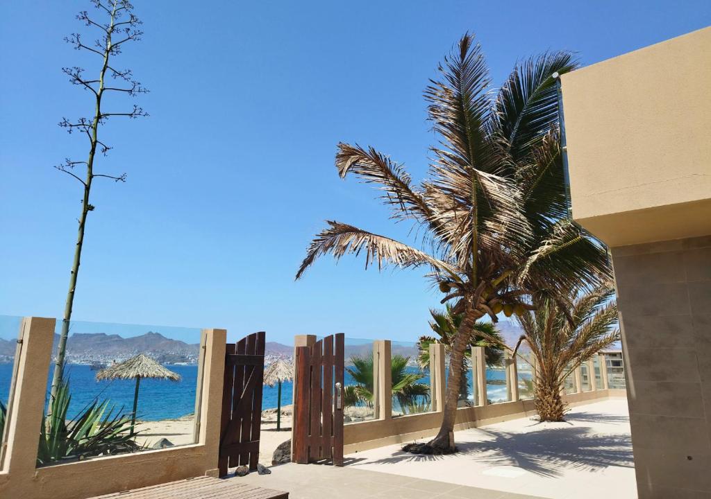 - Vistas a la playa desde un edificio con palmeras en MonteCara View T1, en Mindelo