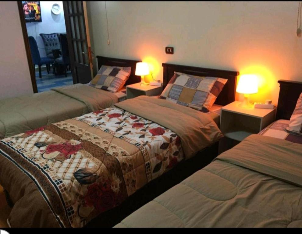 Private Family Apartment in Dokki