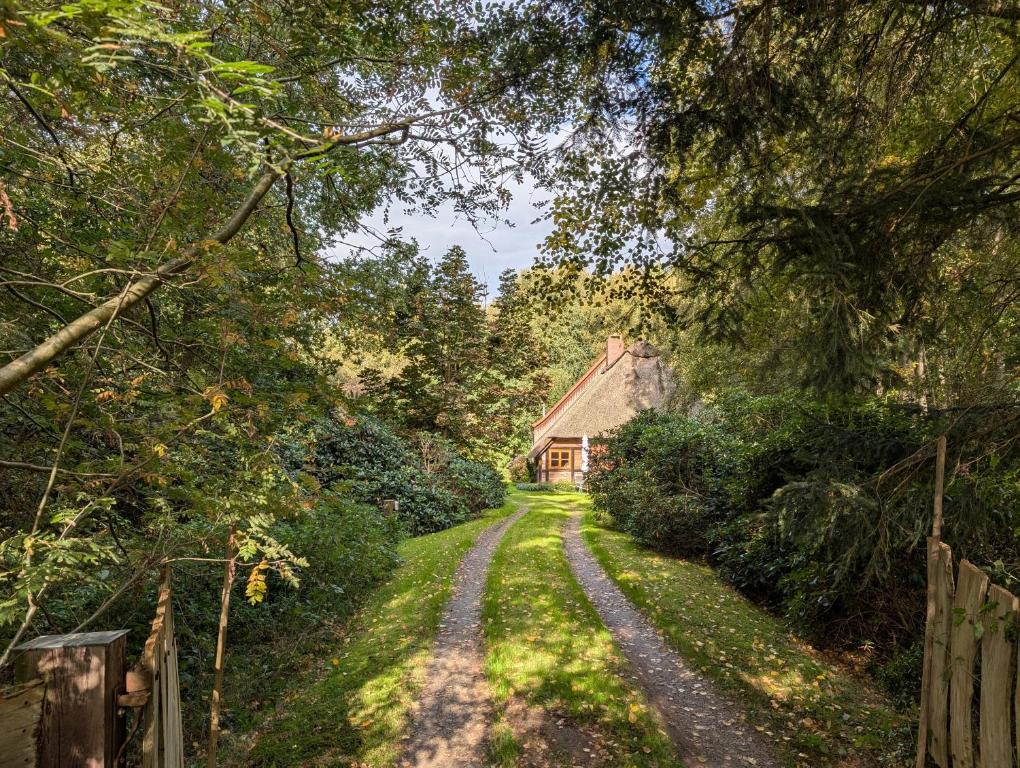a dirt road leading to a house in the distance at Hus in Huddel - Worpswede - Teufelsmoor in Osterholz-Scharmbeck