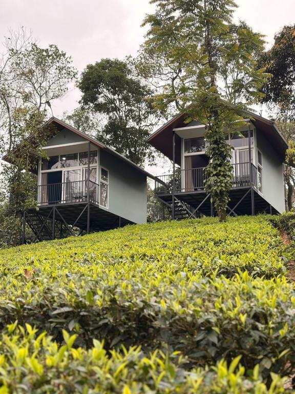 two houses on top of a grassy hill at Arvion Holidays in Vagamon