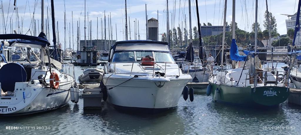 een groep boten is aangemeerd in een haven bij Marina Yatch Hostel in Lissabon