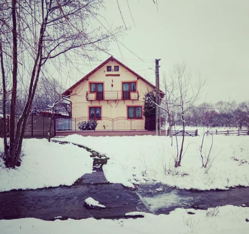 a house in the snow next to a stream at Ograda Bunicilor Sarata in Sărata