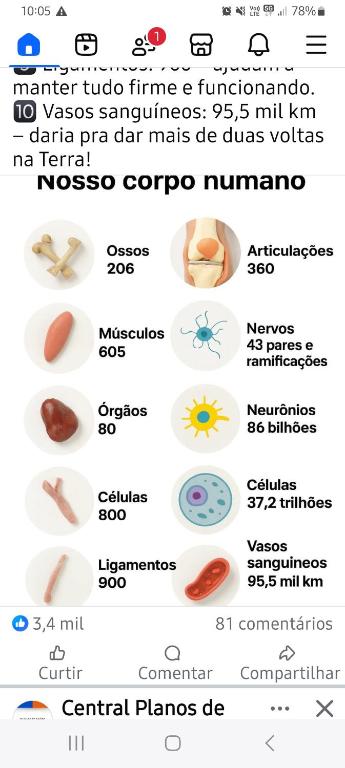 a screenshot of a cell phone screen with a list of nutrients and aedes at Apartamento no centro in Mongaguá