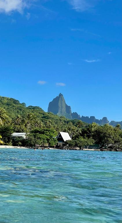 Blue Bungalow Moorea, Papetoai - photo 5 - Moorea, Polynésie