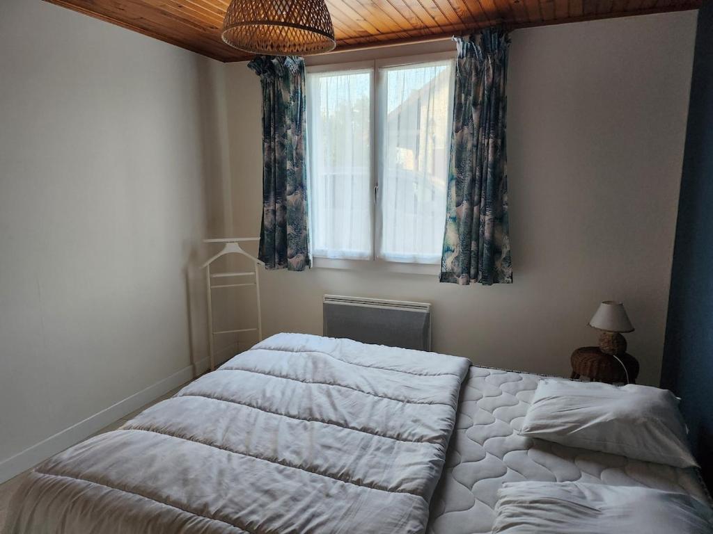 a bed in a bedroom with a window at Chez David et Julie in La Bouverie