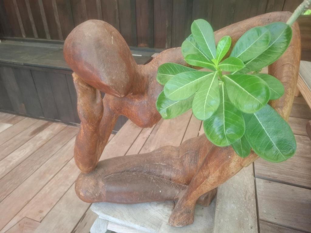 una estatua de un perro sentado al lado de una planta en L Atelier, en Quartier de Lorient