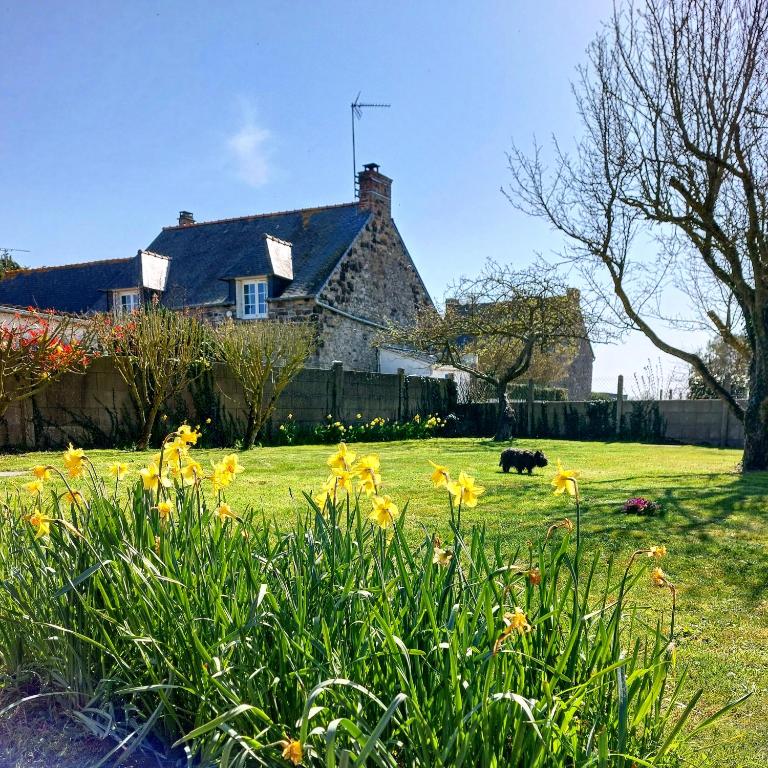 a house with a dog in a yard with flowers at Petite maison de vacances in Cherrueix