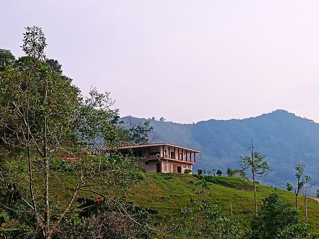 una casa en la cima de una colina cubierta de hierba en Bosque Místico, en San Carlos