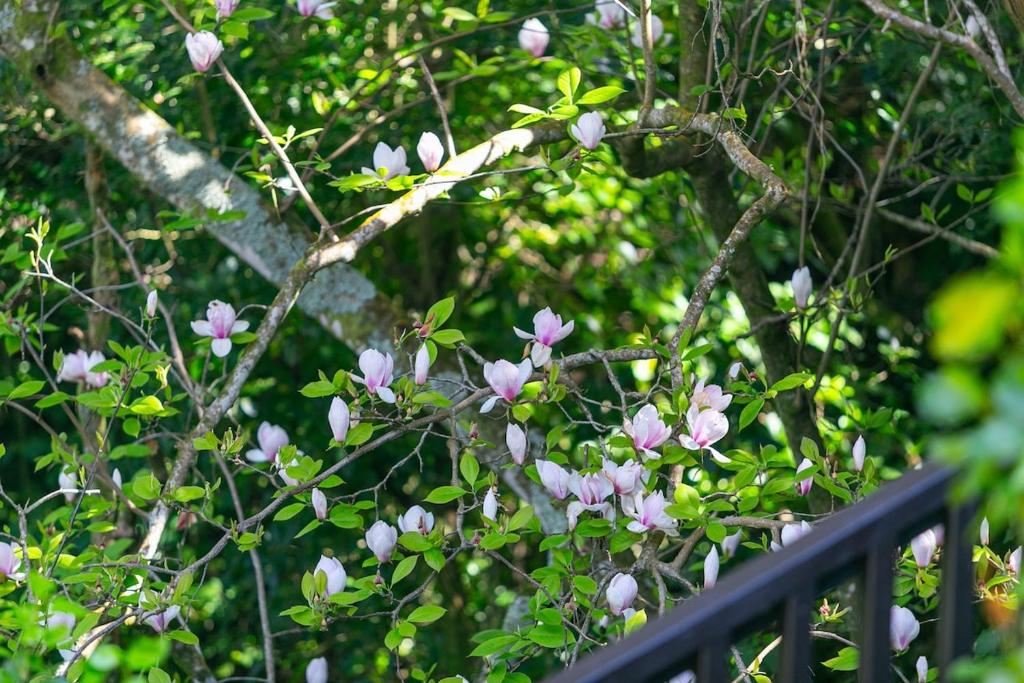 Leafy Wadestown Retreat Near CBD, Stadium, Ferry and Free Double Garage - Resim 37