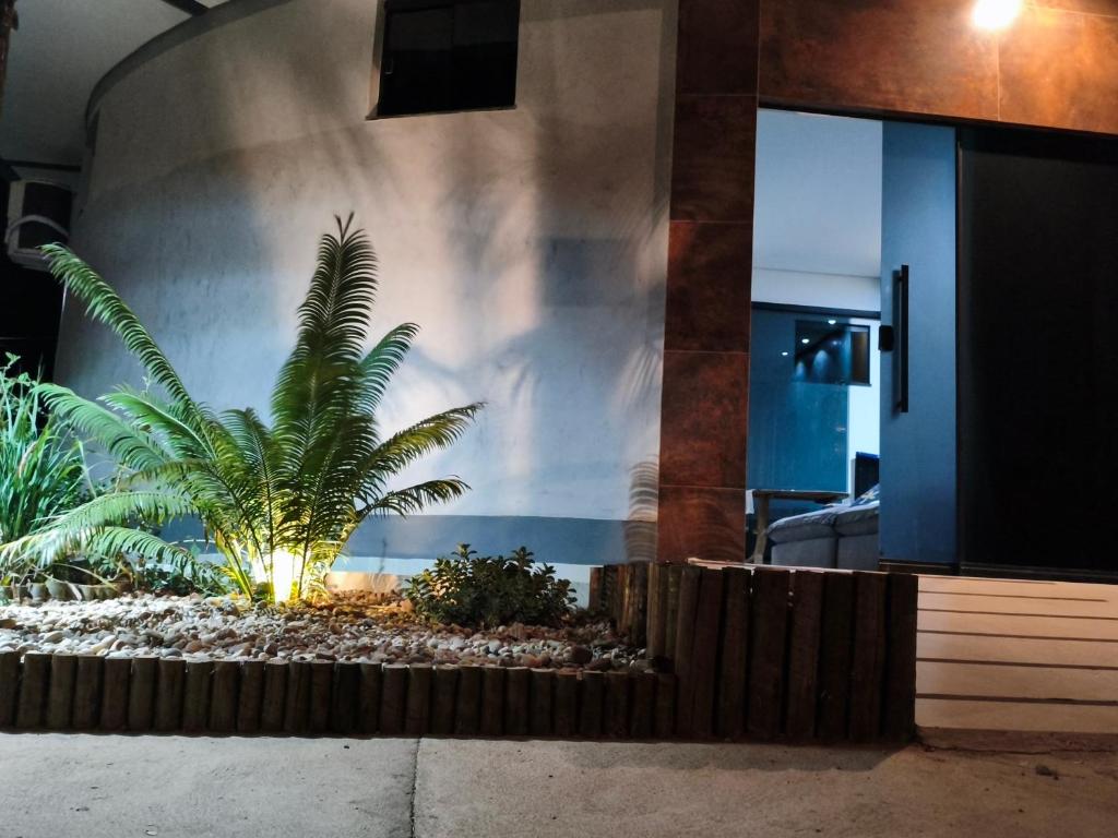 a palm tree in front of a building at Amoras flat in Sao Jorge