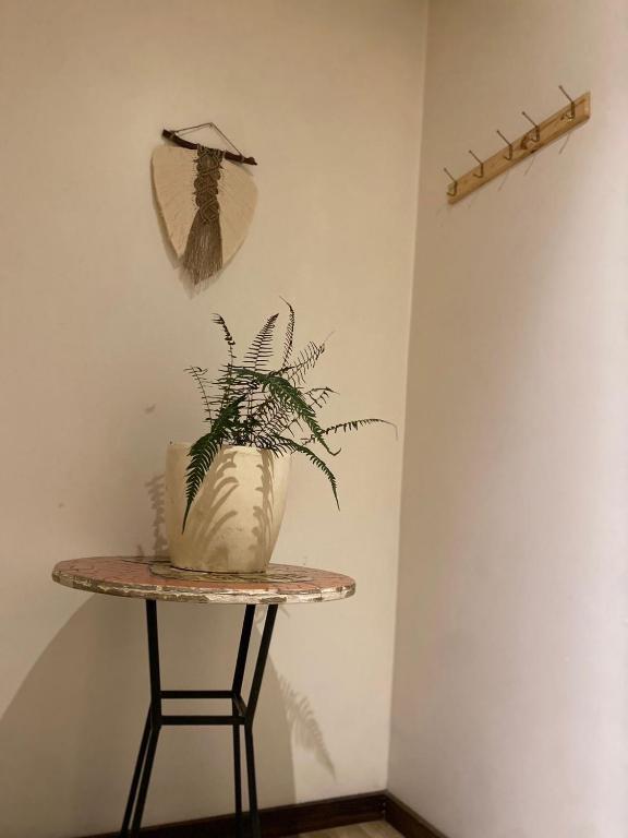 a potted plant sitting on a table next to a wall at Aldea Molco Arrayan in Villarrica