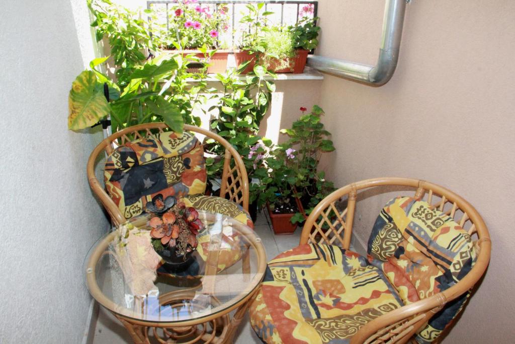 dwa krzesła i szklany stół w pokoju z roślinami w obiekcie Apartment Bucevic w Szybeniku