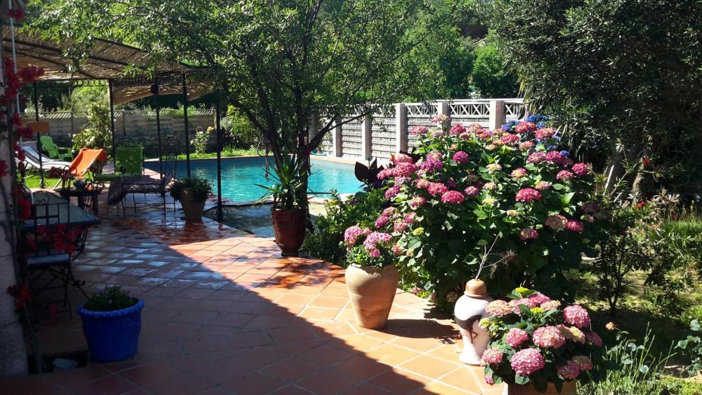 a garden with pink flowers and a swimming pool at La Chambre De Salome in Collioure