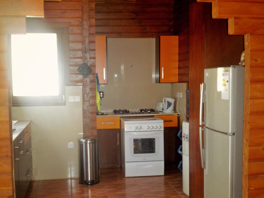 Kuchyň nebo kuchyňský kout v ubytování Agros Timber Log House