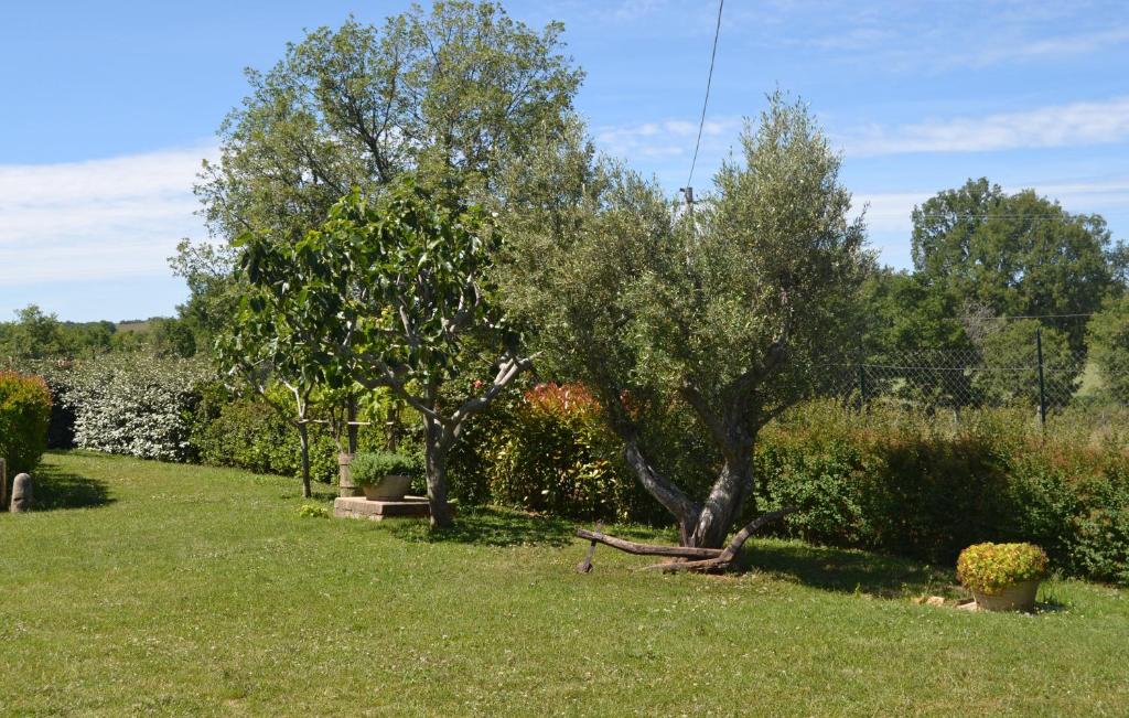 Zahrada ubytování Al Bosco delle Api