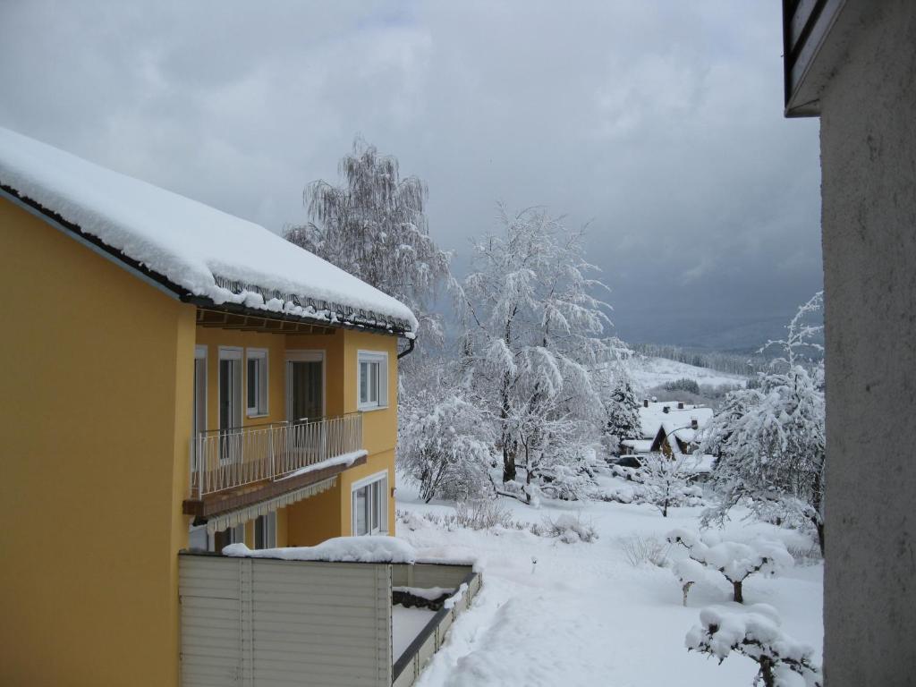 Gästehaus Steininger - Standaard Tweepersoonskamer Met Balkon