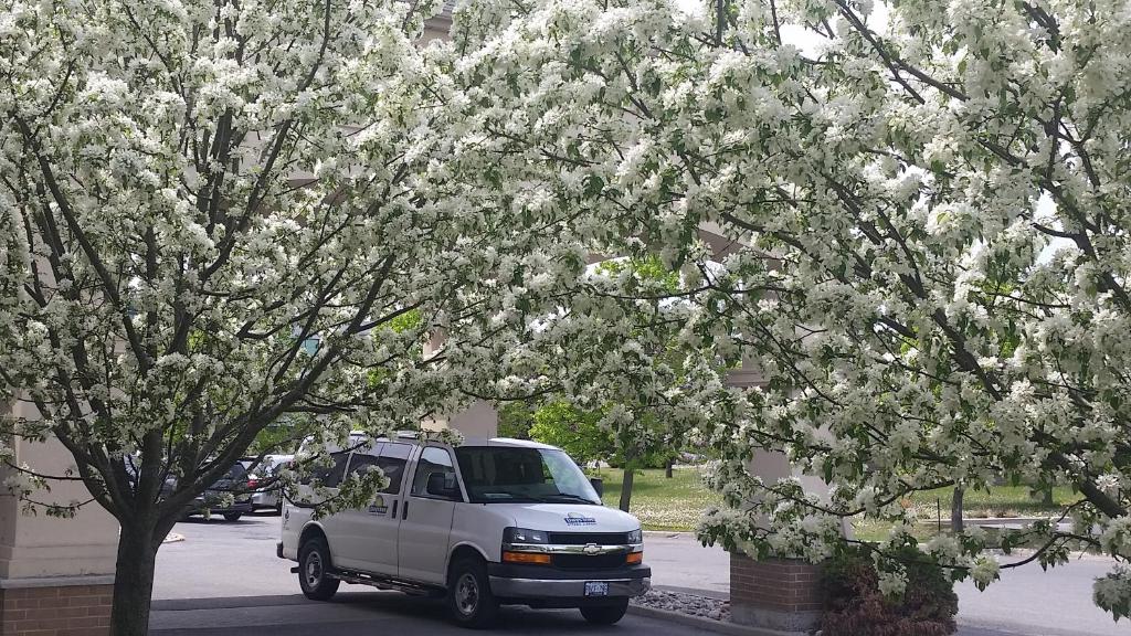 Days Inn by Wyndham Ottawa Airport - Resim 33