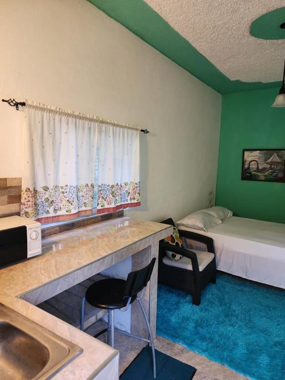 AlbionCozy studio apartment with private parking off street的客房设有水槽、床和水槽