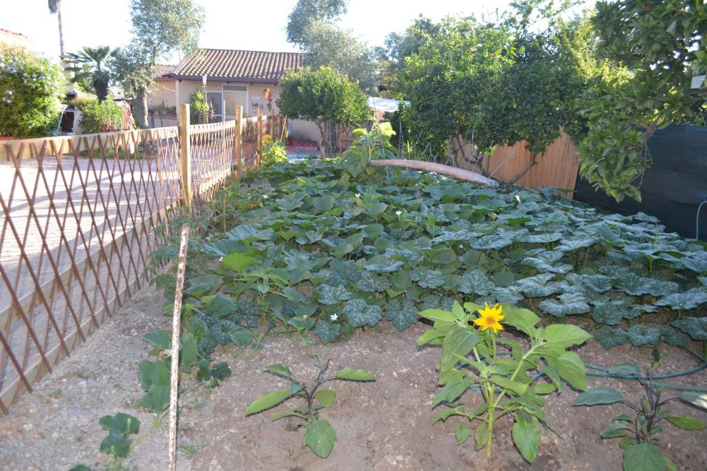 Zahrada ubytování B&B l'Antropologo