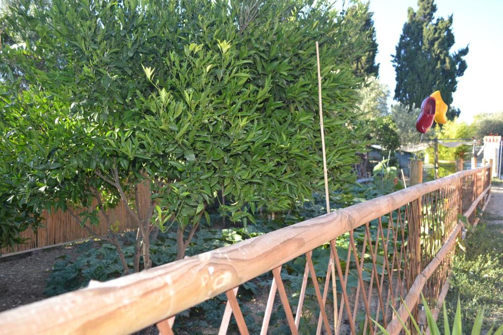 Zahrada ubytování B&B l'Antropologo
