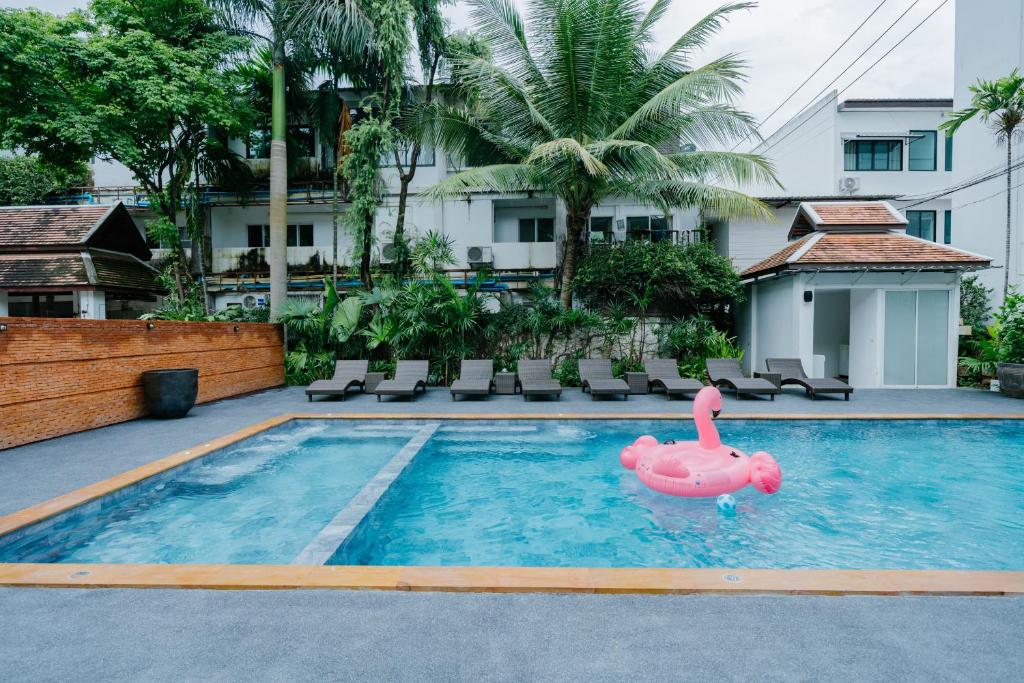 Πισίνα στο ή κοντά στο The Odyssey Chiang Mai