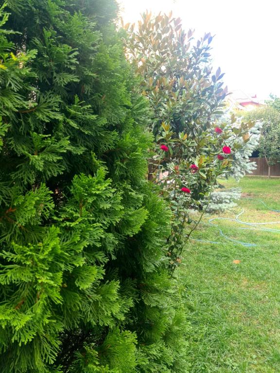 Jolie Boutique Hotel - Resim 33